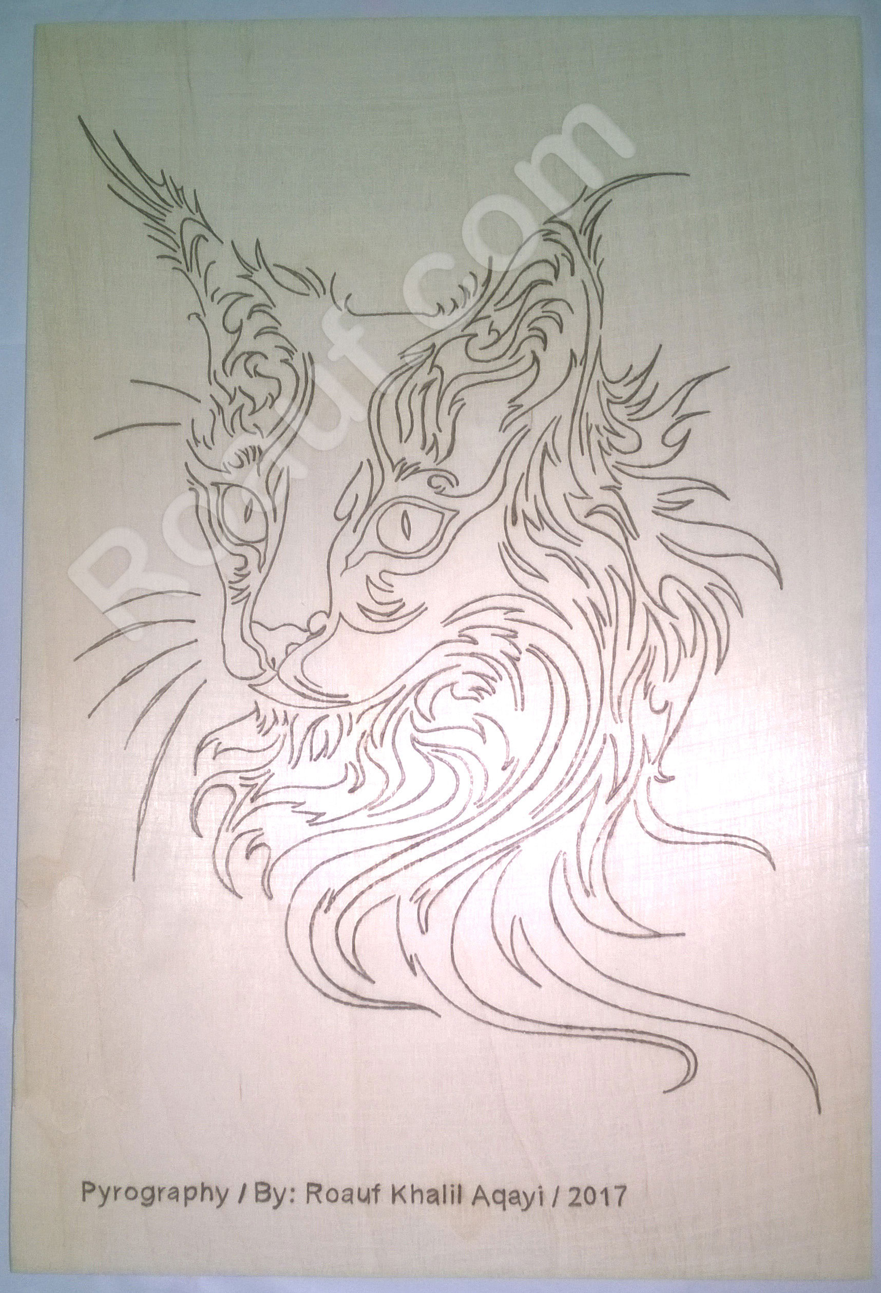 Pyrography Panel of a Cat