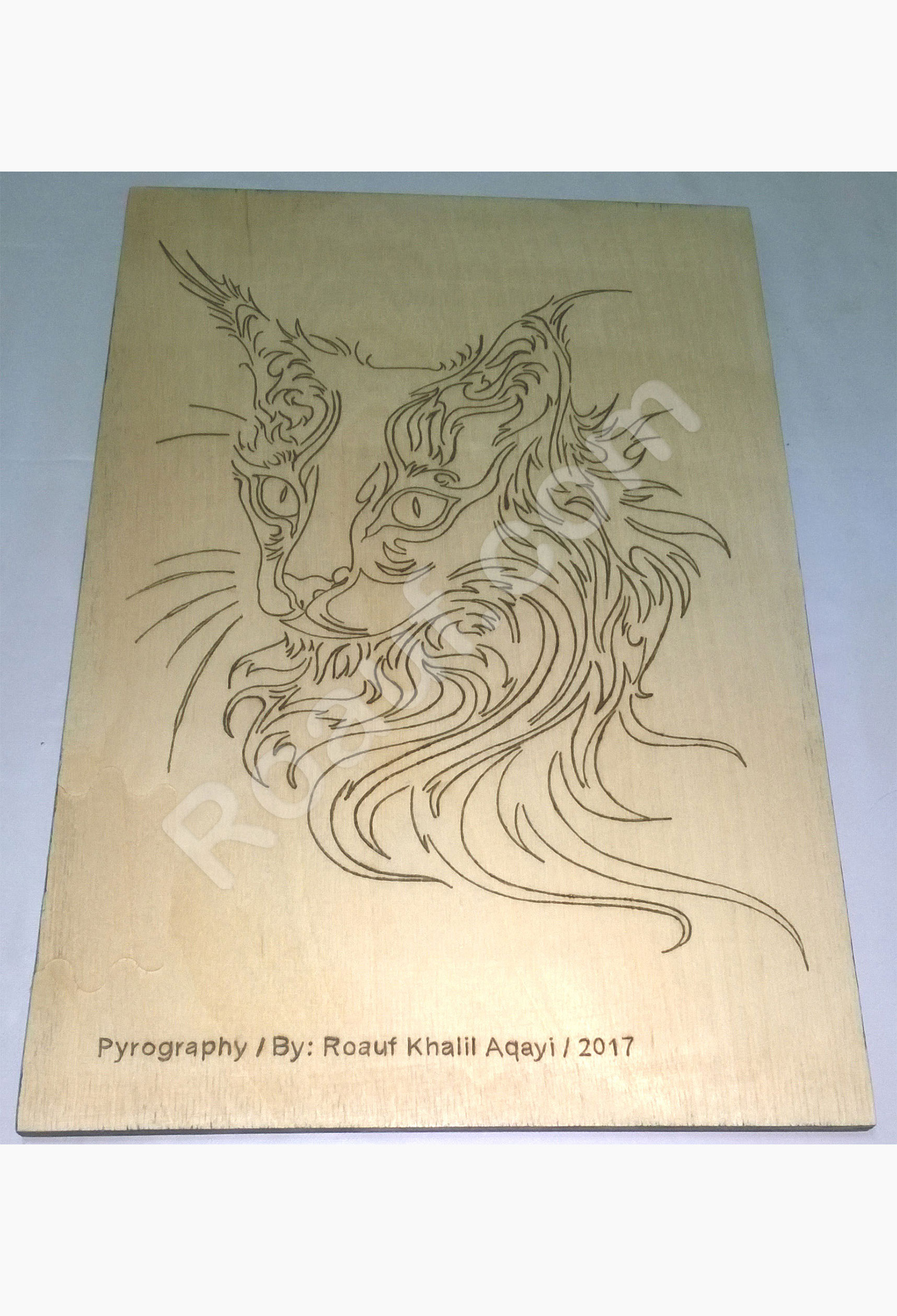 Pyrography Panel of a Cat
