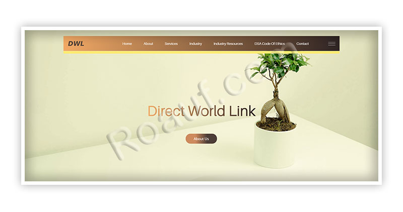 Professional Web Design