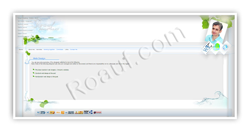 Professional Web Design