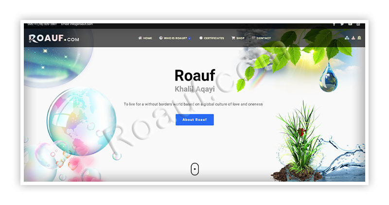 Professional Web Design