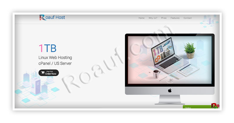 Professional Web Design