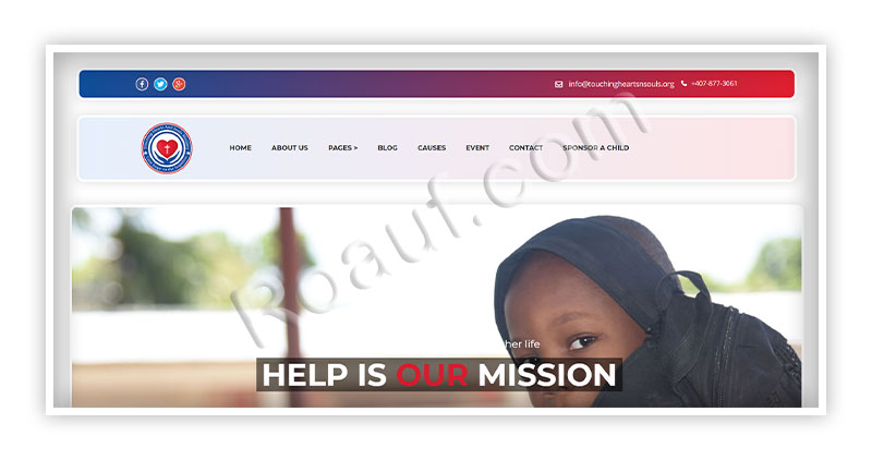 Professional Web Design